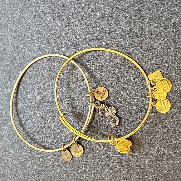 Alex and Ani Sea Themed Charm Bracelets - Lot of 2 - Picture 1 of 5